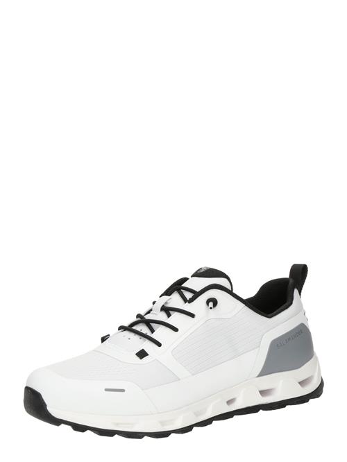 SALAMANDER Sneaker low  grafit / sort / hvid / offwhite