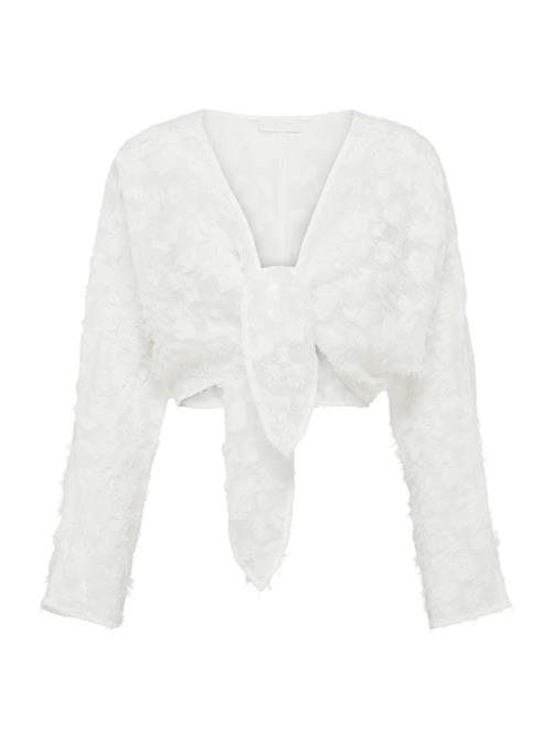 LeGer by Lena Gercke Bluse 'Maxine'  æggeskal