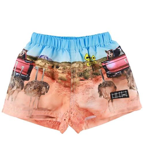 Molo Badeshorts - Newton - In The Bush