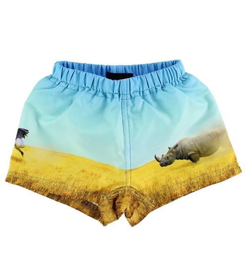 Molo Badeshorts - Newton - Rhino