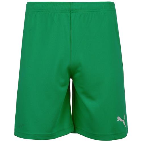 PUMA Sportsbukser 'TeamRise'  grøn / hvid
