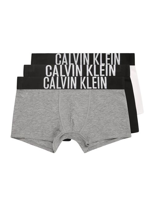 Calvin Klein Underwear Underbukser  grå-meleret / sort / hvid