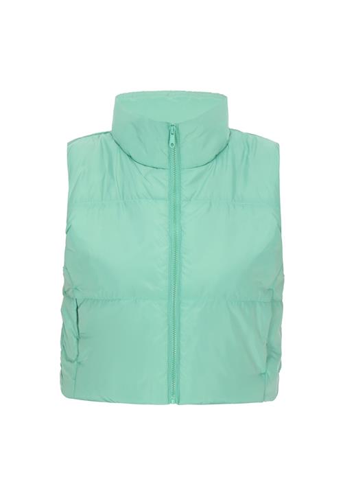 myMo ATHLSR Vest  mint