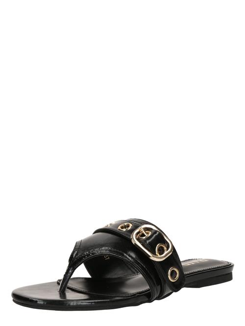 Raid Klipklappere 'REGENT'  sort