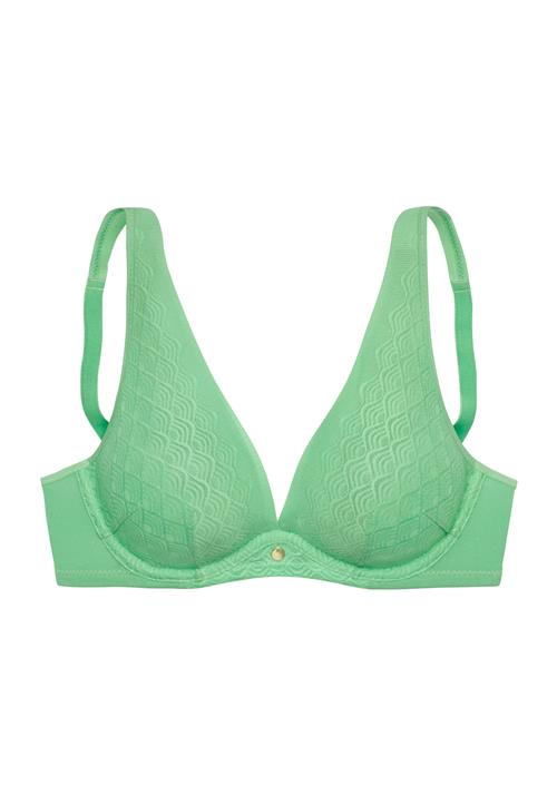 LASCANA BH  lysegrøn