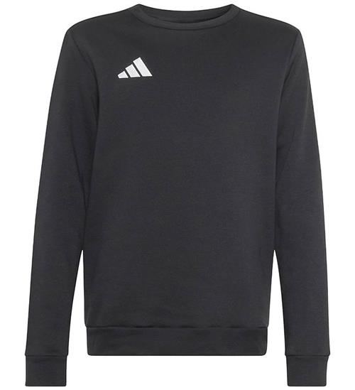 adidas Performance Sweatshirt - Ent26 SW Topy - Black/White