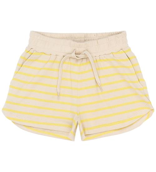 The New Shorts - TnShannon - Acacia Stripe