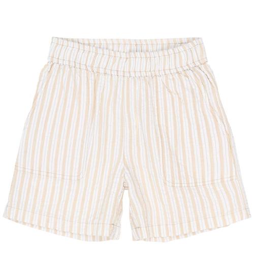 The New Shorts - TnSmith - Humus Striped