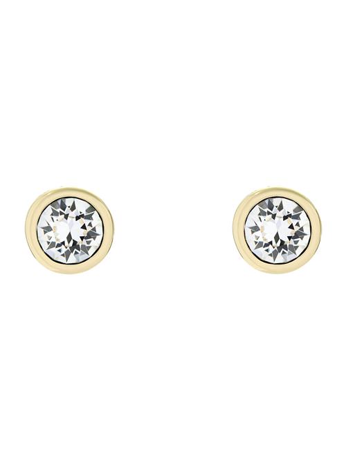 Ted Baker Øreringe 'Sinaa'  guld