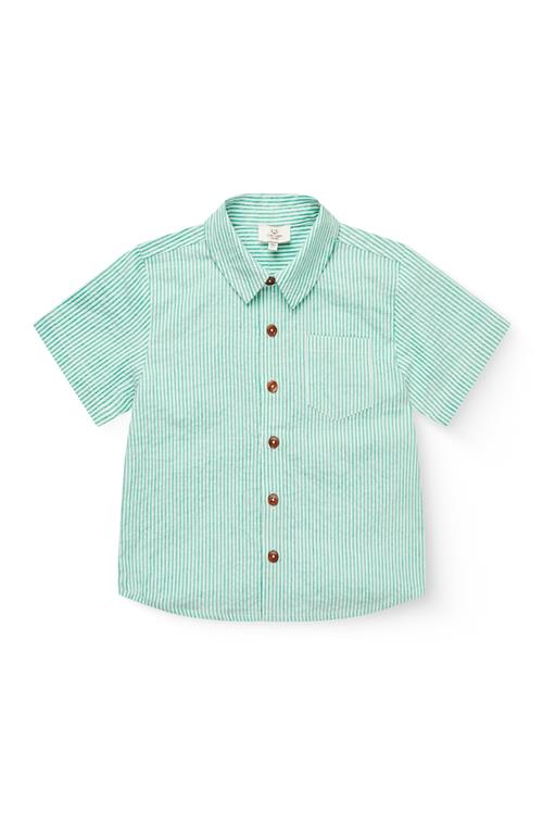 Copenhagen Colors GOTS Skjorte Sharp Green Cream Stripe  Sharp Green Cream Stripe 104 cm  Grøn  104 cm  mand