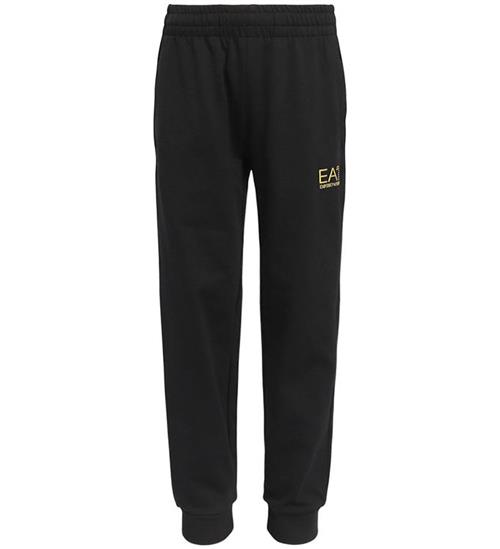 EA7 Sweatpants - Sort m. Guld