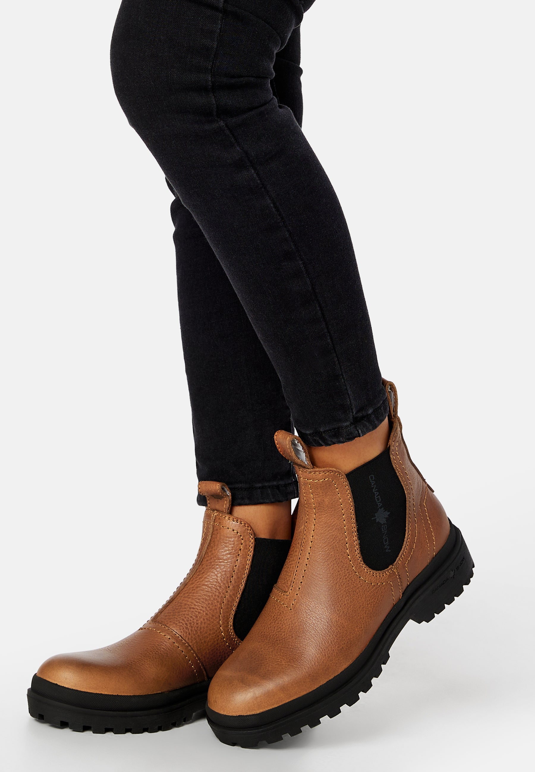 Canada Snow Mount Verdi