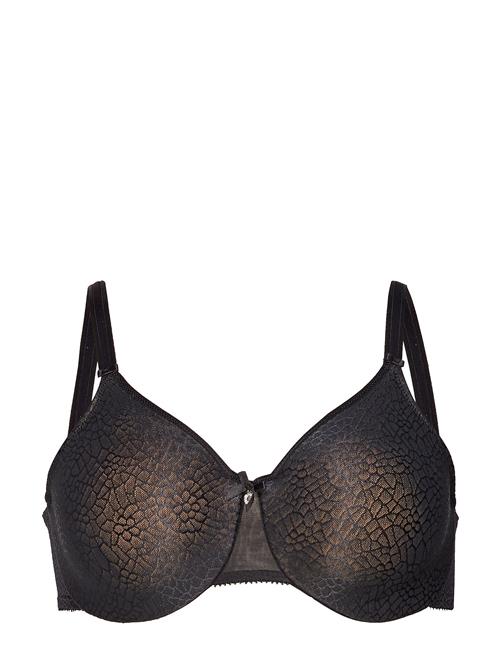 CHANTELLE | C Magnifique Very Covering Bra | H x 70