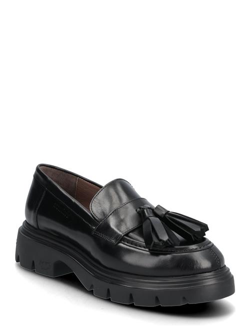 Wonders | Bones 03 | 36