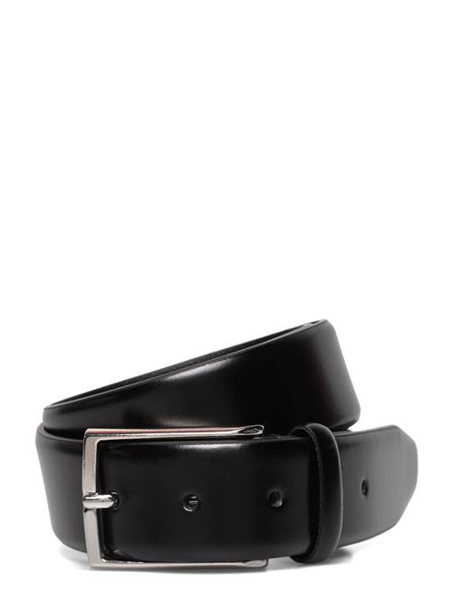 Saddler | Cederlund | 95CM