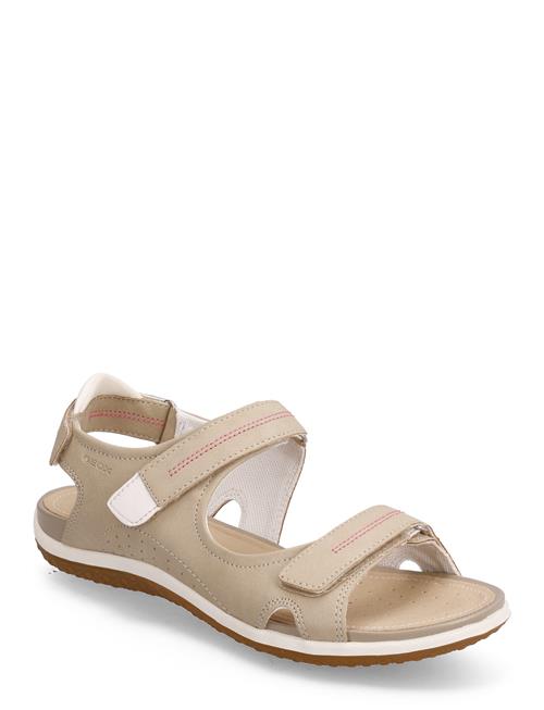 GEOX | D Sandal Vega A | 36