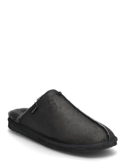 Shepherd | Hugo Tofflor | 43