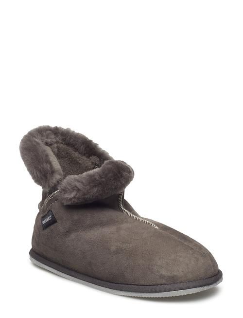 Shepherd | Oskar | 44