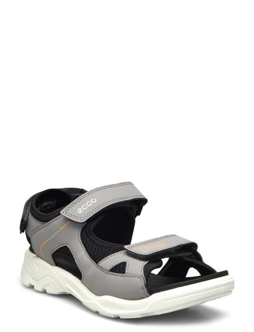 ECCO | Biom Raft | 36