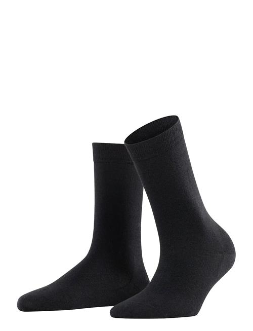 Falke Women | Softmerino Pressure-Free Toe | 37-38