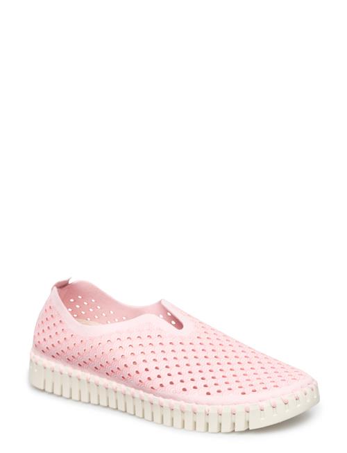 Ilse Jacobsen | Tulip3275 | 37