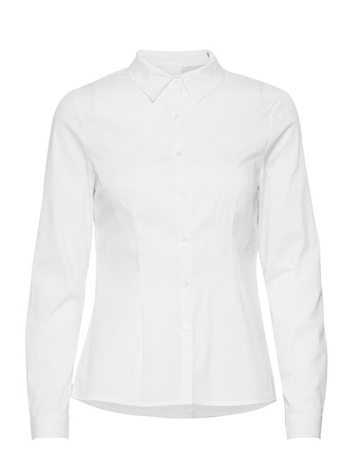 ICHI | Ihdima Sh | 36