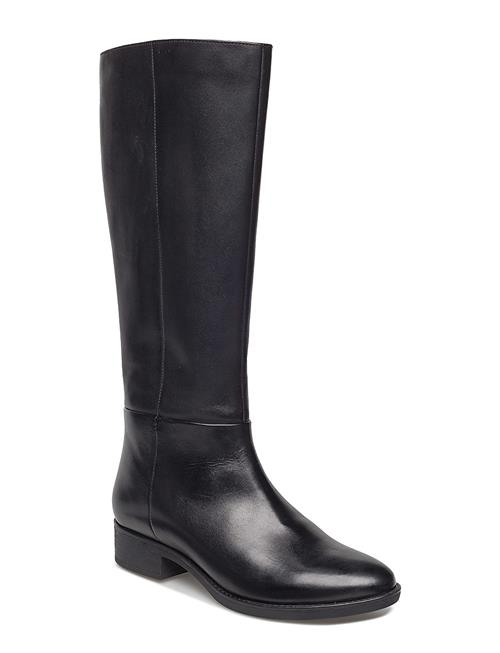 GEOX | D Felicity D | 38