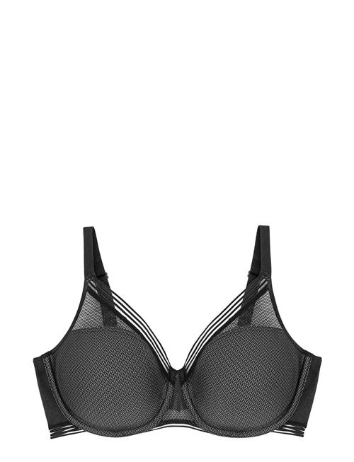 Triumph | Infinite Sensation W01 | F x 75