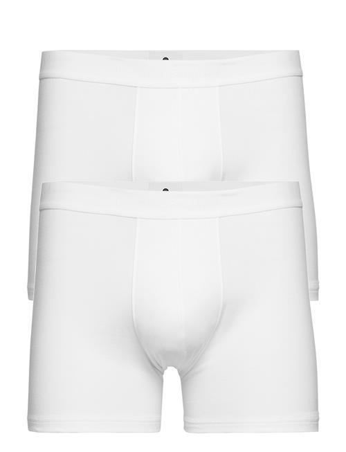 JBS of Denmark | Jbs Of Dk Tights 2-Pack | XL