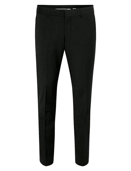 Matinique | Vincent | 54 x 87