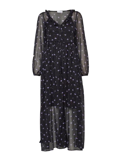 2NDDAY | 2Nd Petra Anemone | 34