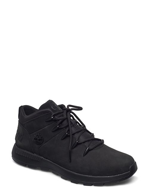 Timberland | Mid Lace Up Sneaker | 44