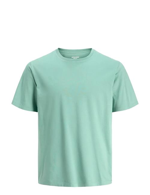 Jack & Jones | Jjeorganic Basic Tee Ss O-Neck Noos Jnr | 152