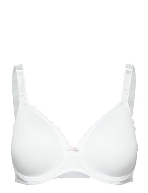 CHANTELLE | Maternity Nursing Bra | D x 80