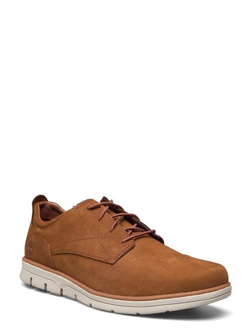 Timberland | Bradstreet Low Lace Up Sneaker Saddle | 44