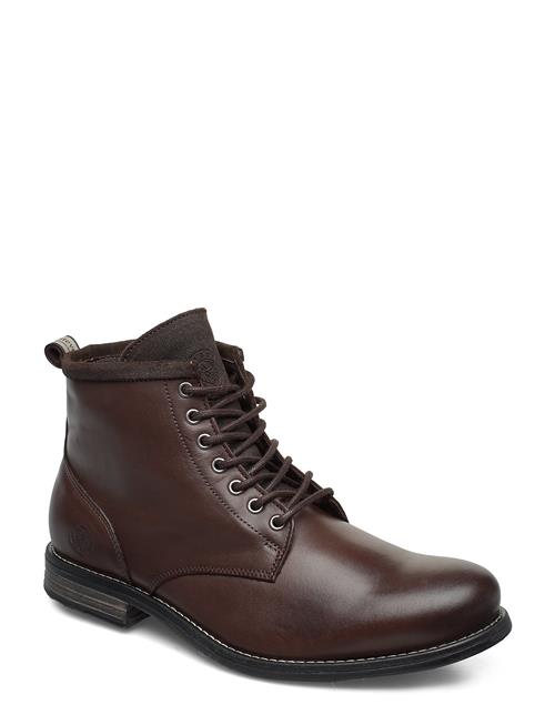 Sneaky Steve | Peaker Ii Brown | 42