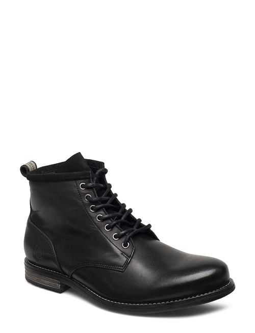 Sneaky Steve | Peaker Ii Black | 40