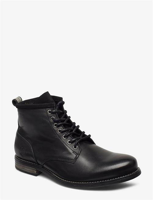 Sneaky Steve | Peaker Ii Brown | 43