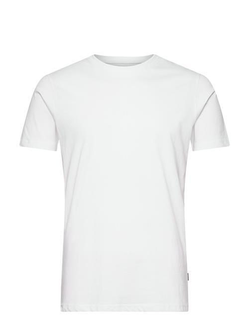 Solid | Sdrock Ss | XL