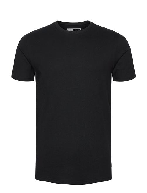 Solid | Sdrock Ss | XL