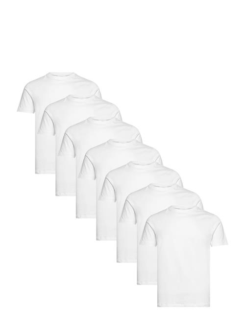 Lindbergh | Basic O-Neck Tee S/S 7 Pack | M