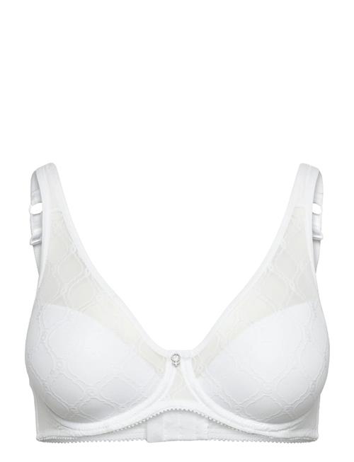 Abecita | Rita Wire Bra Padded Moulded | C x 80