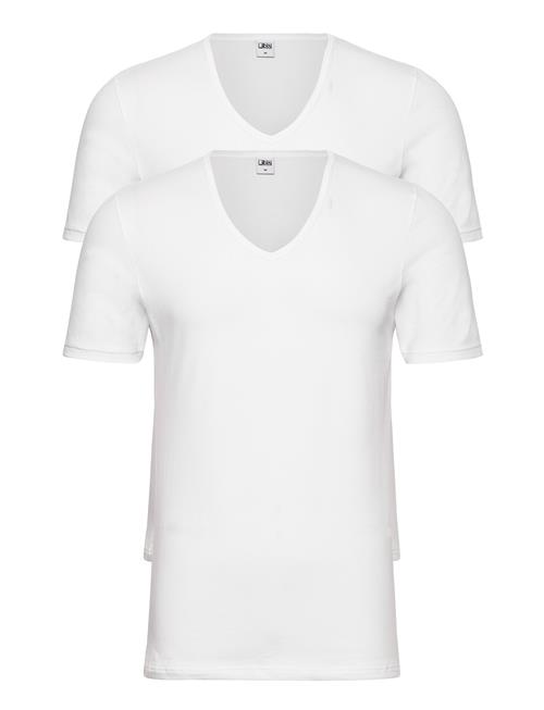 JBS | Jbs 2-Pack T-Shirt V-Neck Gots | XXL