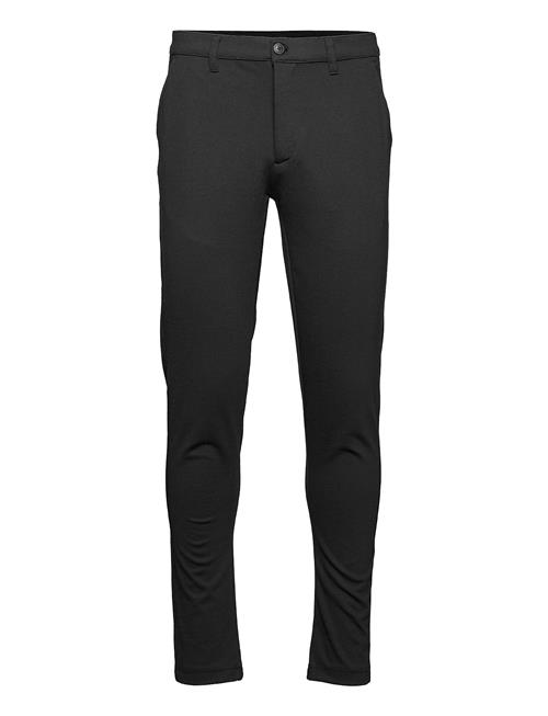 Solid | Sddave Barro | 31 x 32