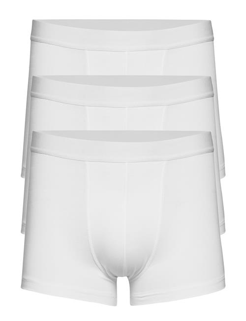 Bread & Boxers | Boxer Brief 3-Pack (Gots) | L