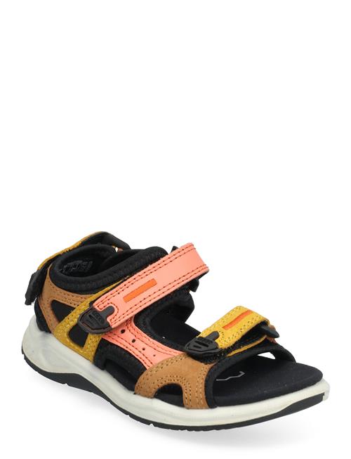 ECCO | X-Trinsic K | 24
