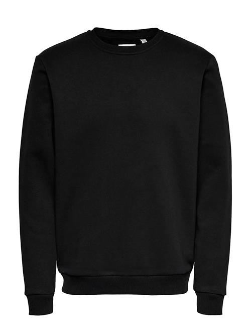 ONLY & SONS | Onsceres Crew Neck Noos | XS