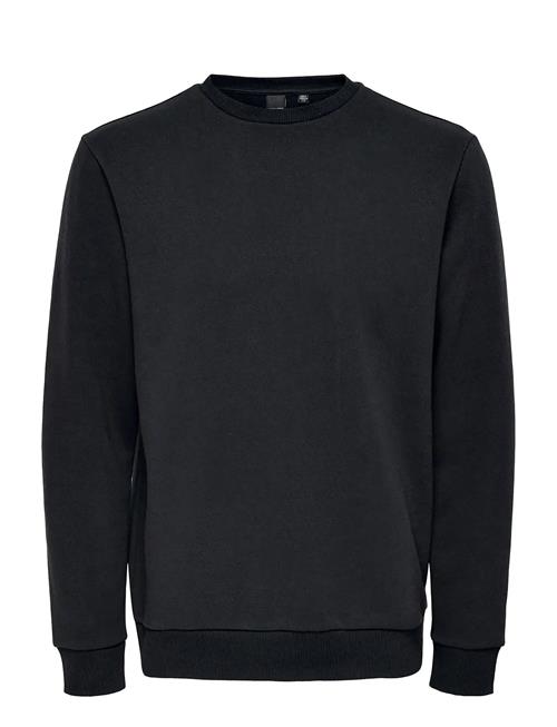 ONLY & SONS | Onsceres Crew Neck Noos | S