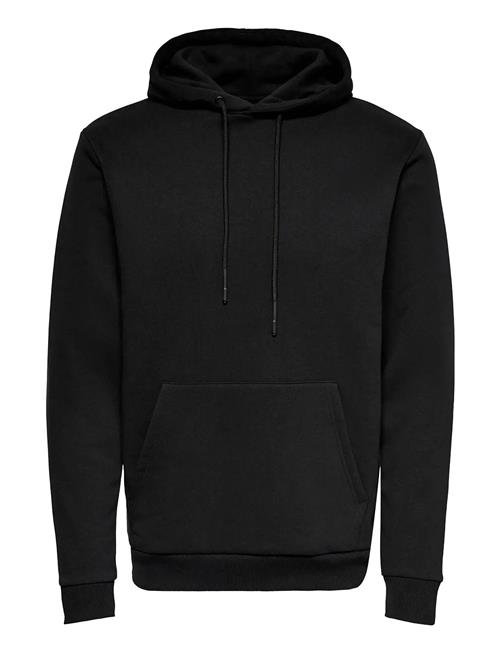 ONLY & SONS | Onsceres Hoodie Sweat Noos | XXL