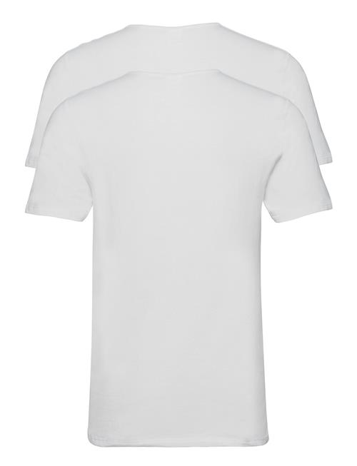 Dovre | Dovre T-Shirt 2-Pack Gots | XXL
